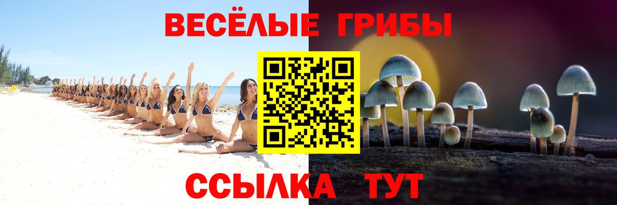 Галлюциногенные грибы GOLDEN TEACHER Мелеуз