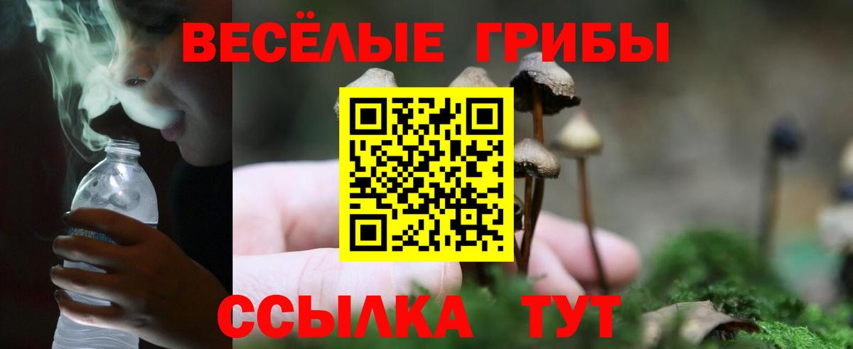 Галлюциногенные грибы мухоморы  купить   Мелеуз  Вход с VPN 